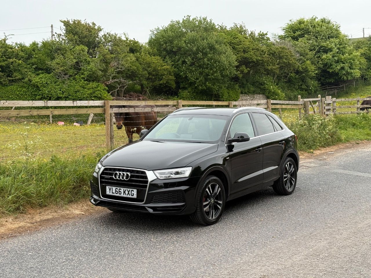 2017 Audi Q3