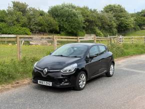 RENAULT CLIO 2018 (67) at CJS Car Sales Ltd Askam-in-Furness