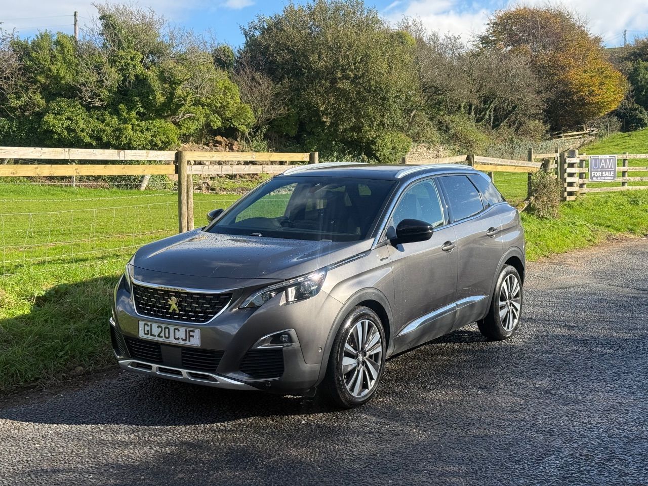 2020 Peugeot 3008